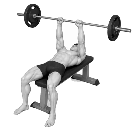 Barbell Bankdruk-bewegingsdemonstrasie