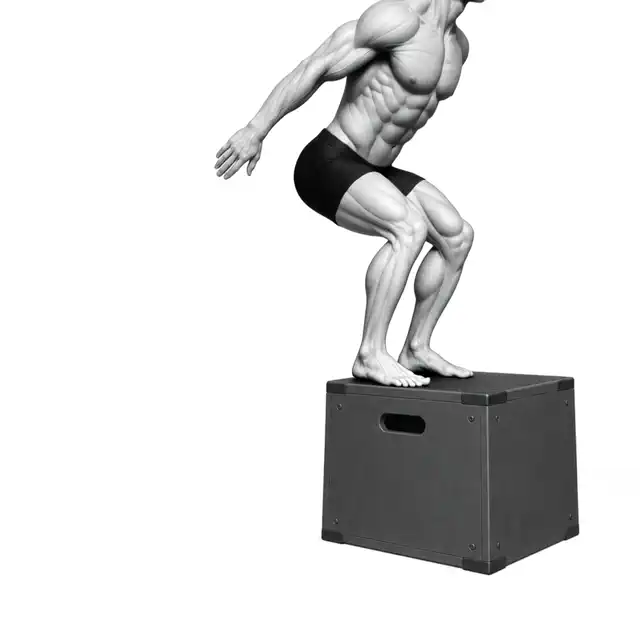 Box Jump-bewegingsdemonstrasie