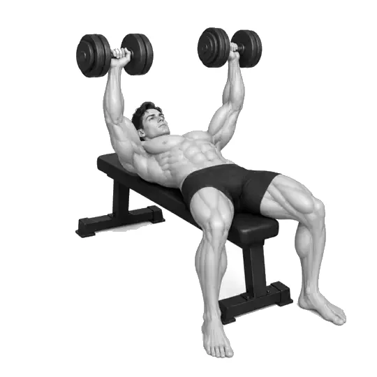 Dumbbell Bankdruk-bewegingsdemonstrasie
