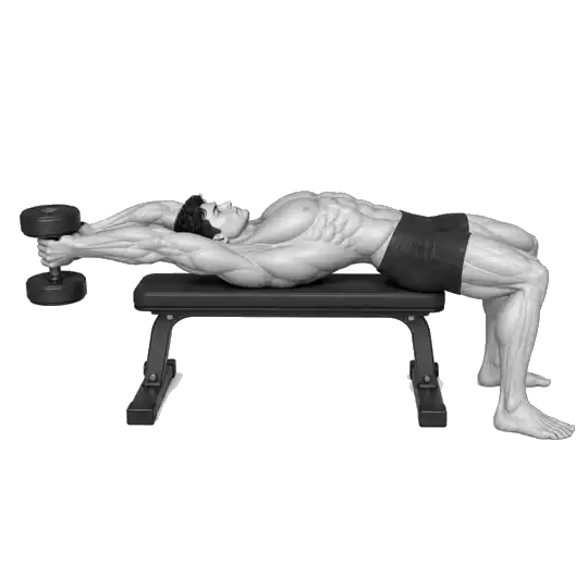 Twee-Dumbbell Pullover-bewegingsdemonstrasie