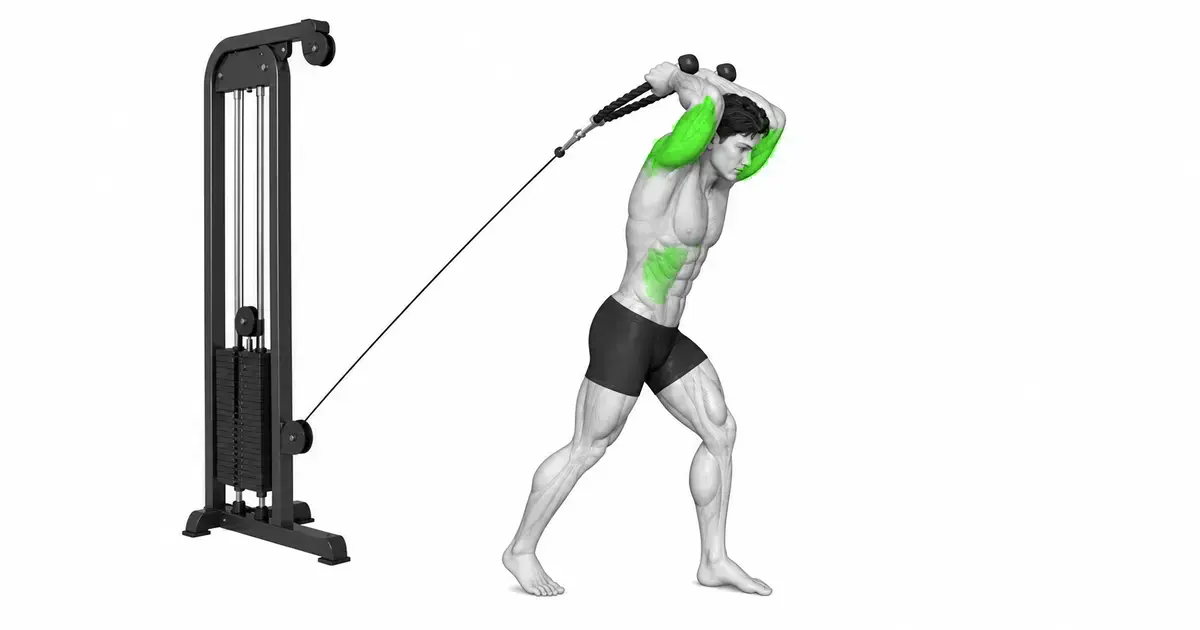 Kabeltou oorhoofse Triceps-verlenging — Stel die kabel vas en gryp die tou vas
