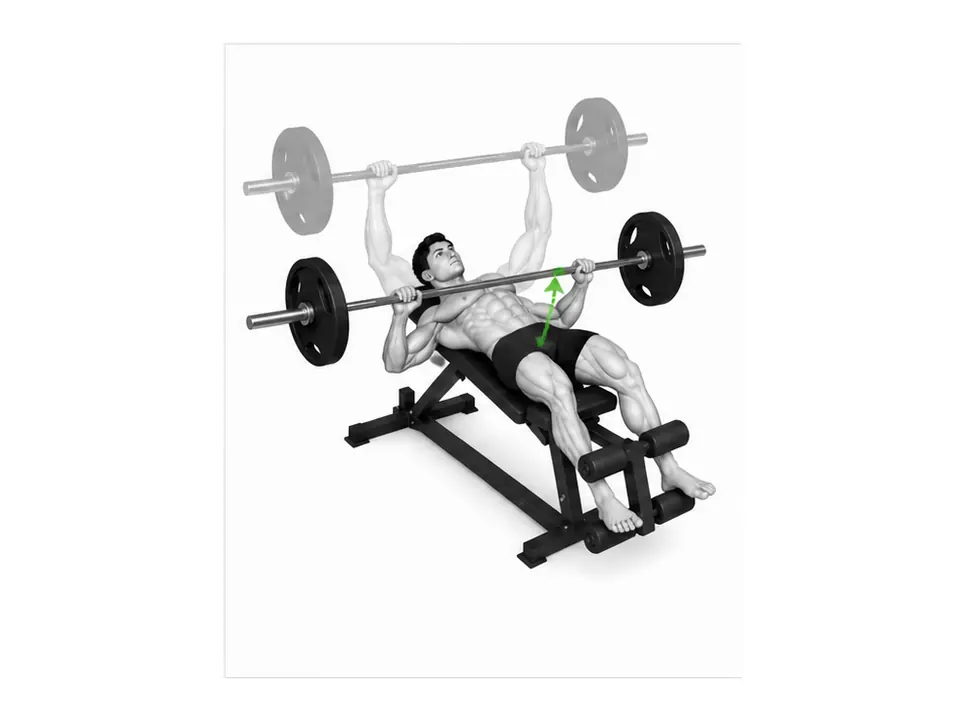 ផ្លូវ Barbell នៅក្នុងការចុចលេងជាកីឡាករបម្រុងធ្លាក់ចុះដែលភ្ជាប់ទ្រូងខាងក្រោម និងបន្ទាត់ស្មា