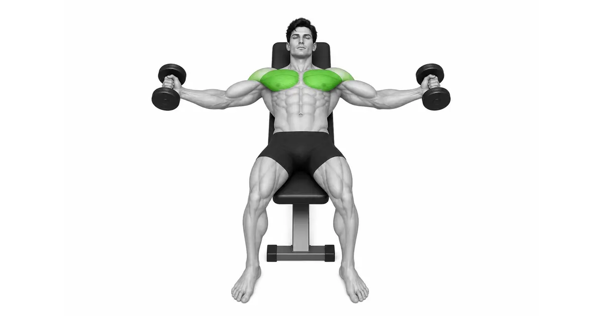 Posisi awal dumbbell fly dengan kepala, punggung, dan panggul ditopang pada bangku datar dan kedua dumbbell dipegang di atas dada