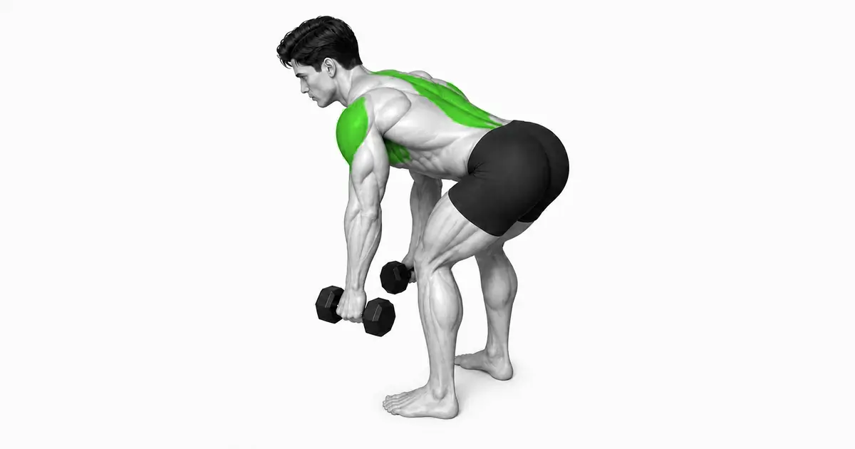 Dumbell Y Raise — Ready Position