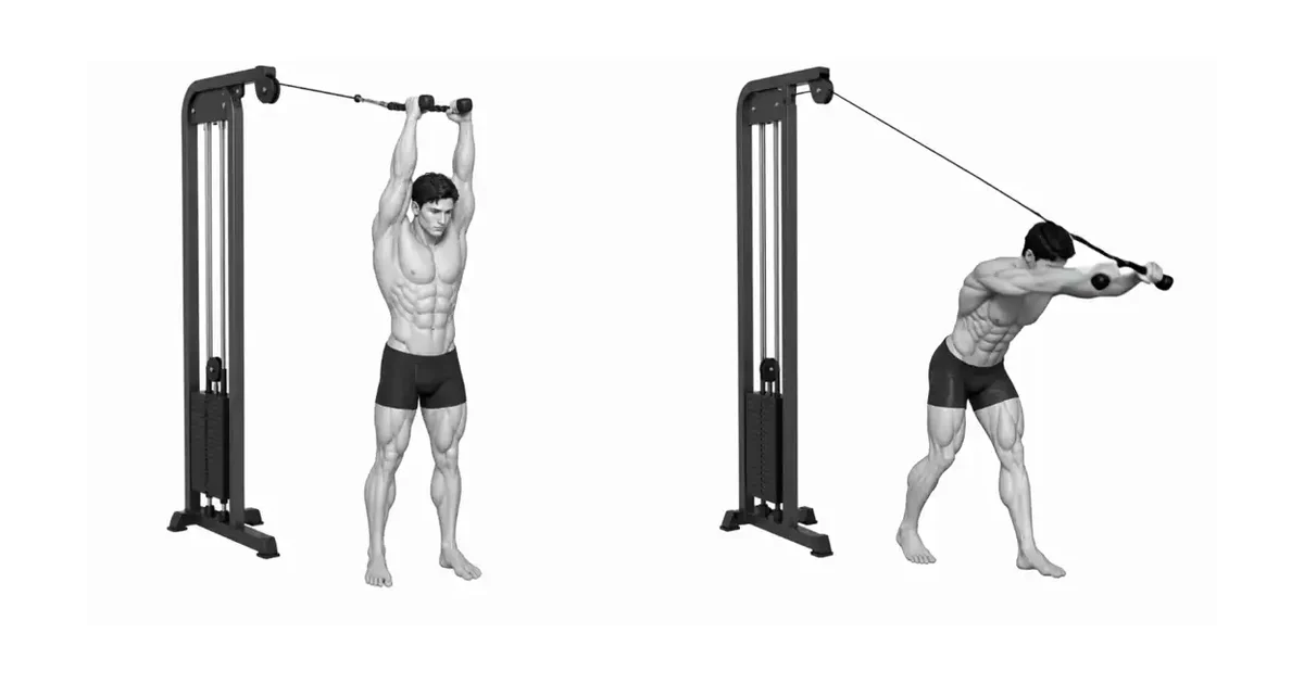 Diagram wat wys hoe die oorhoofse posisie die lang kop van die triceps strek