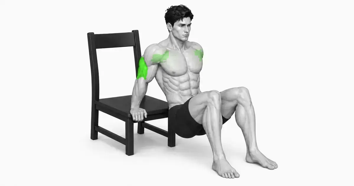 Tricep Dips (Chair) — Grip the chair and prepare