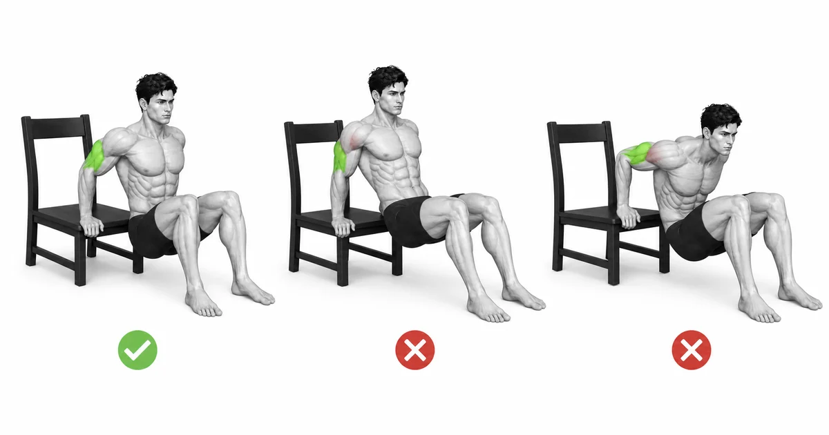 Tricep Dips (Chair) — Choose a range and load that keep the Tricep Dips (Chair) repeatable