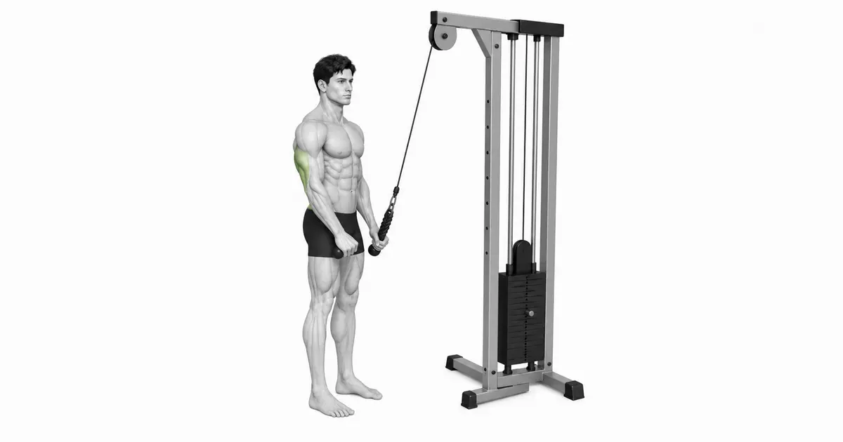 Kabelinstelling, houding en greep vir triceps-afdruk
