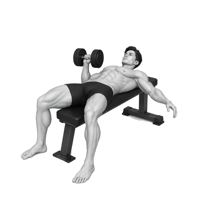 Eenarm Dumbbell Press-bewegingsdemonstrasie