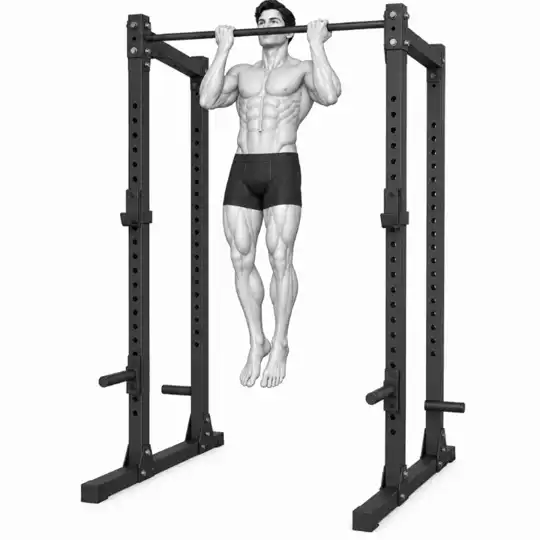 نمایش حرکت Rack Chin-Up