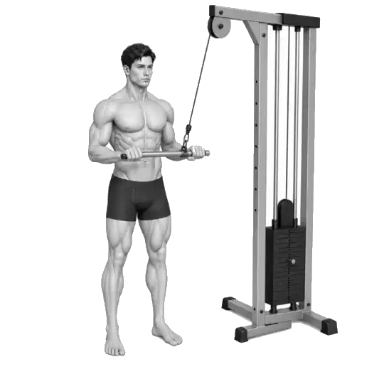 Triceps Pushdown-bewegingsdemonstrasie